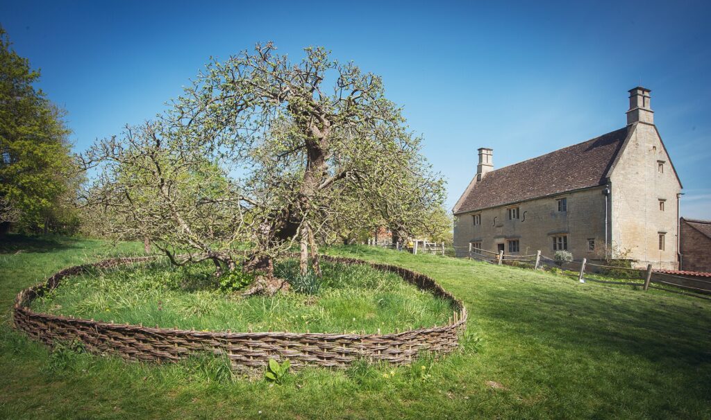 Woolsthorpe Manor-Isaac-Newton-residencia-macieira